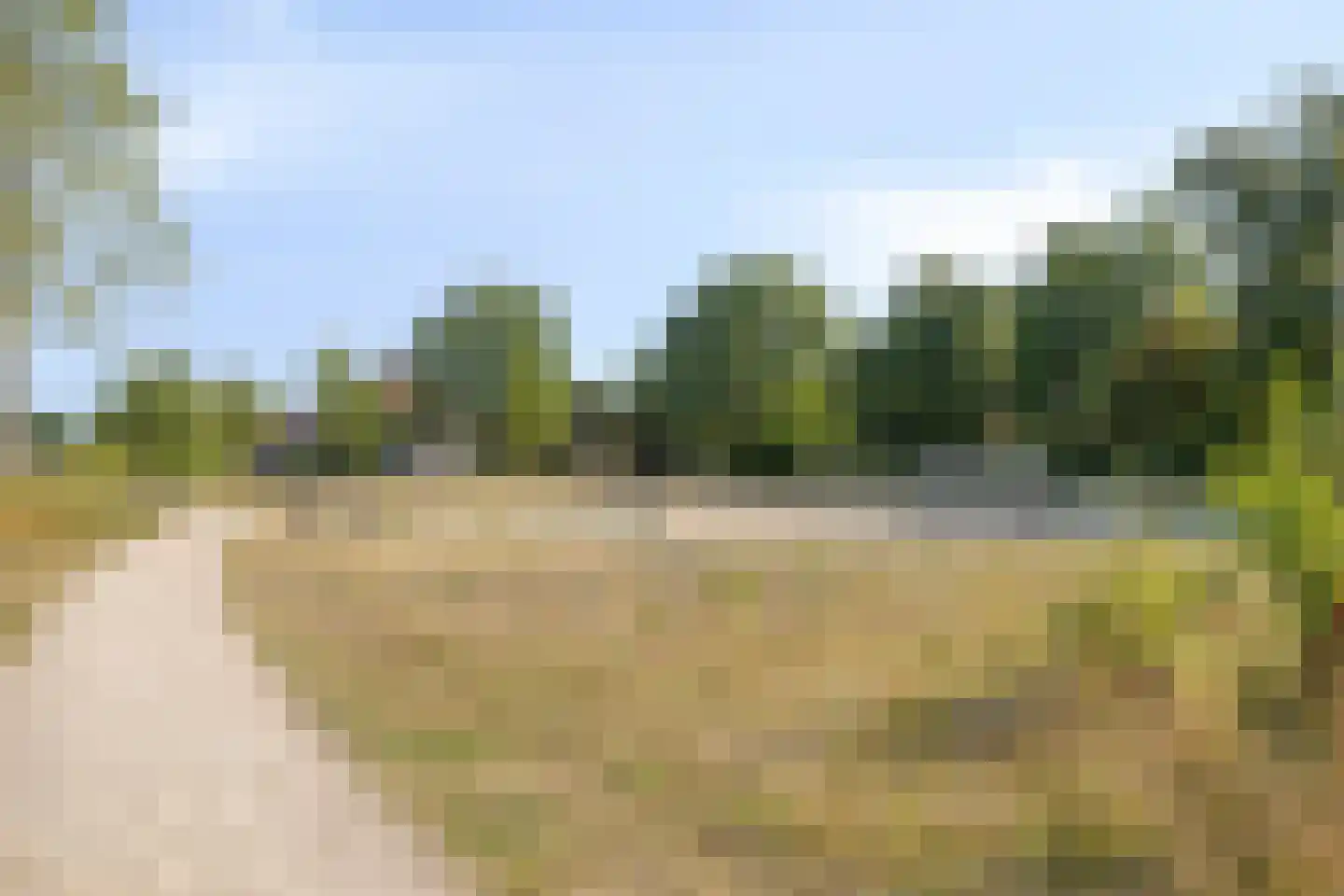 Bosveen 20 Ede thumbnail 34