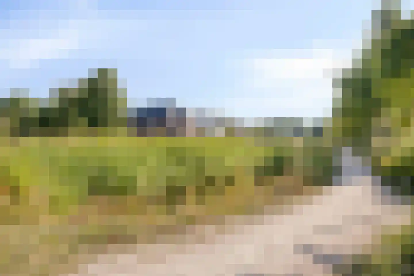 Bosveen 20 Ede thumbnail 36