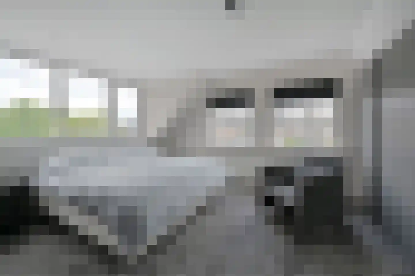 Bosveen 23 Ter Aar thumbnail 13