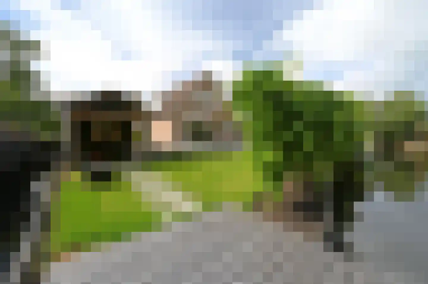 Bosveen 23 Ter Aar thumbnail 20