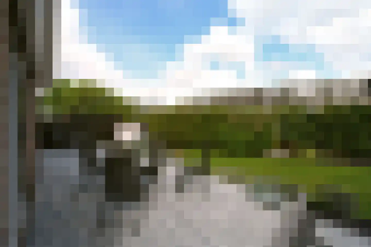 Bosveen 23 Ter Aar thumbnail 21