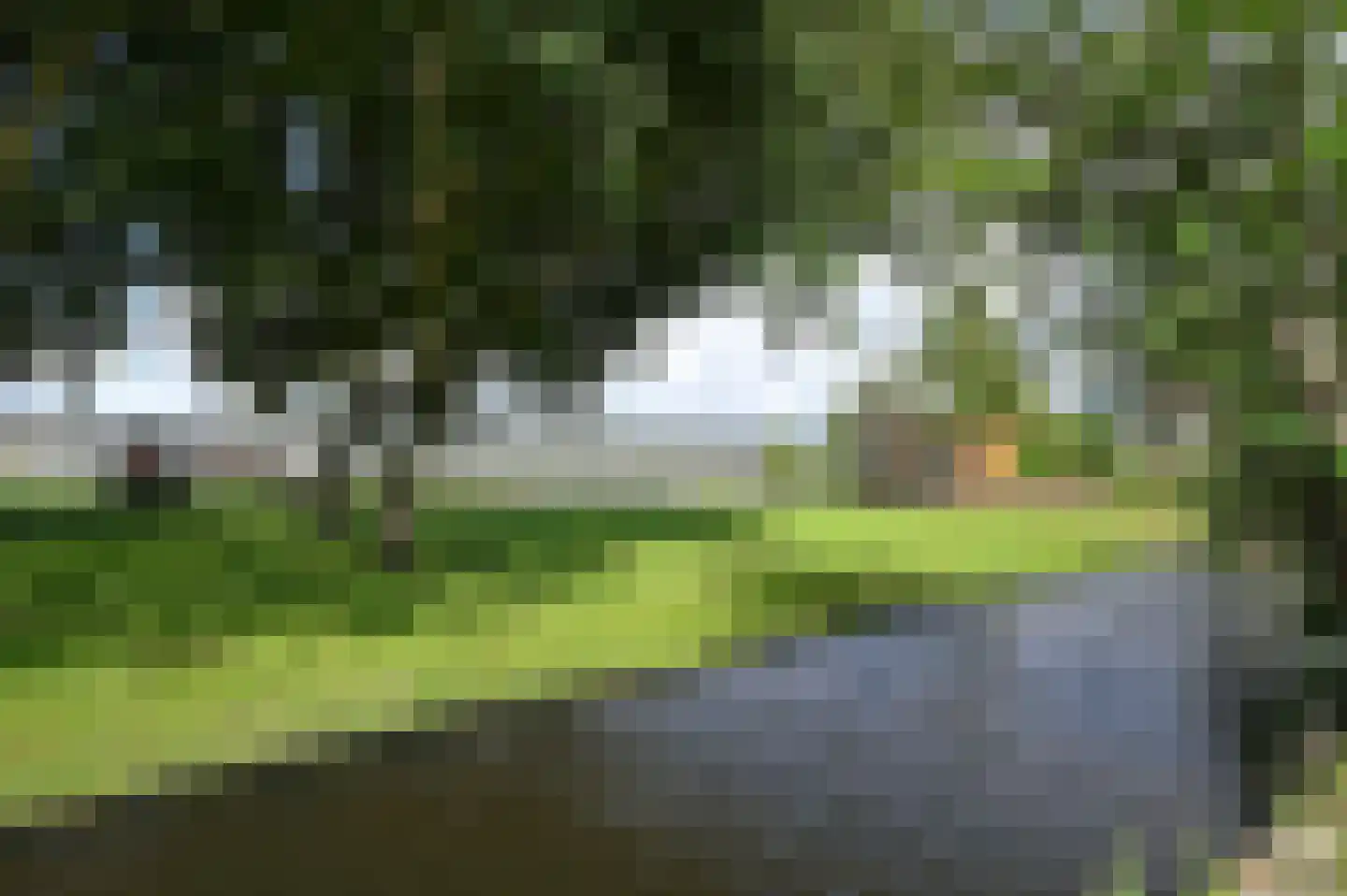 Bosveen 23 Ter Aar thumbnail 25