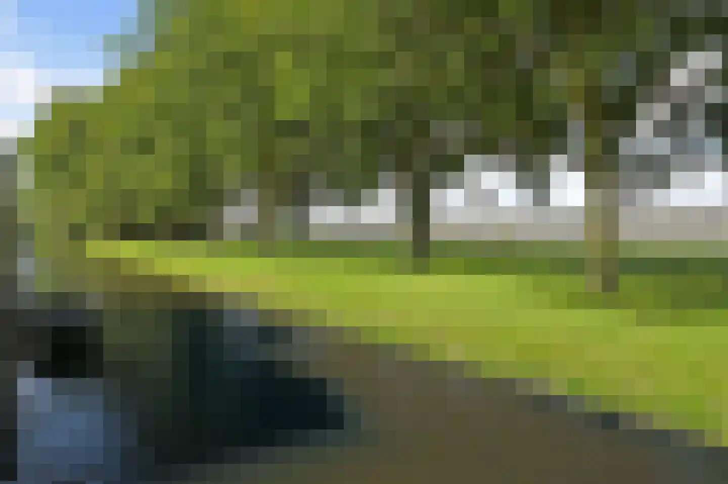 Bosveen 23 Ter Aar thumbnail 26