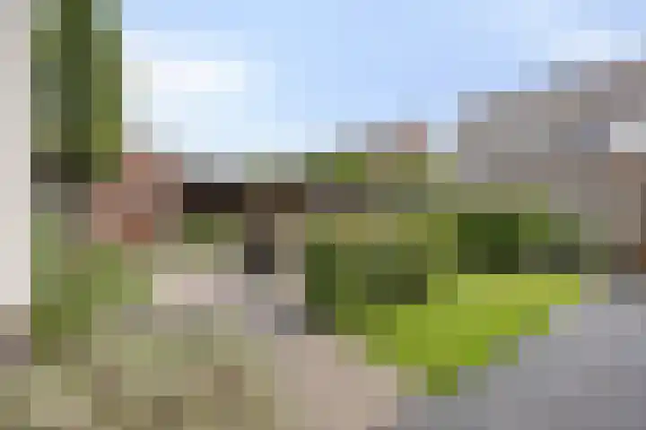Bosveen 25 Ede thumbnail 16