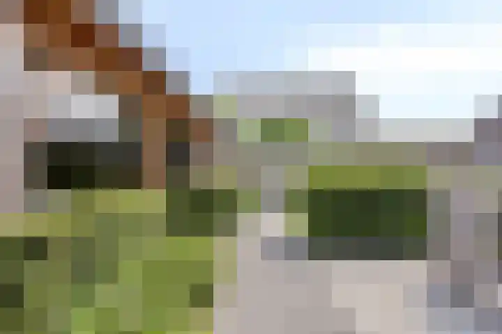 Bosveen 25 Ede thumbnail 17