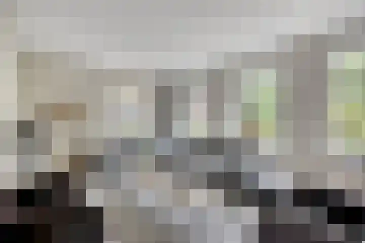 Bosveen 25 Ede thumbnail 7