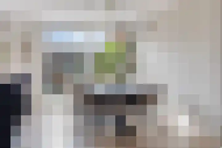 Bosveld 129 Uden thumbnail 13