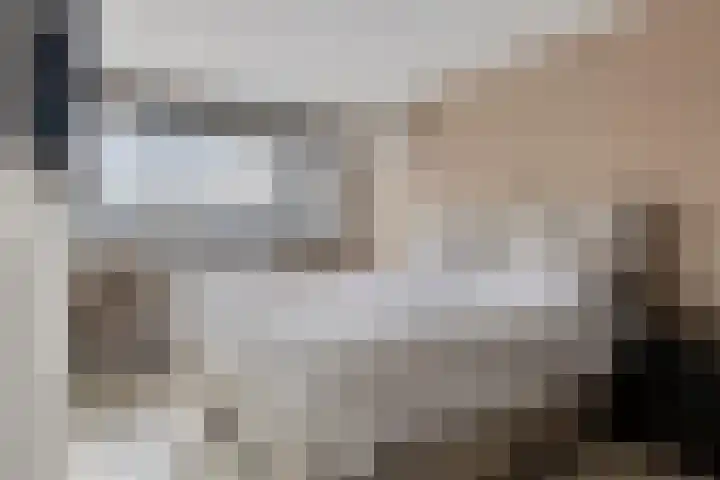 Bosveld 129 Uden thumbnail 18
