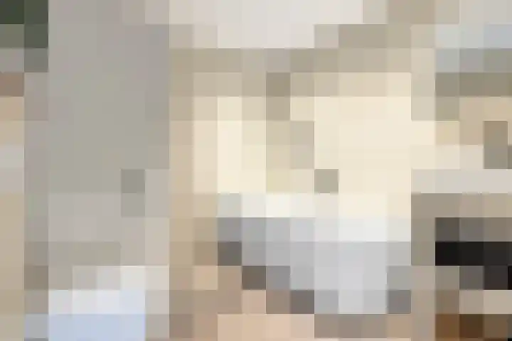 Bosveld 129 Uden thumbnail 21