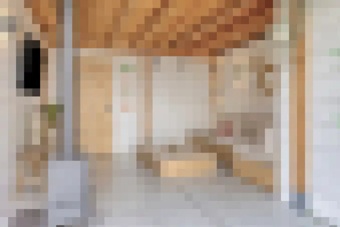 Bosveld 129 Uden thumbnail 31