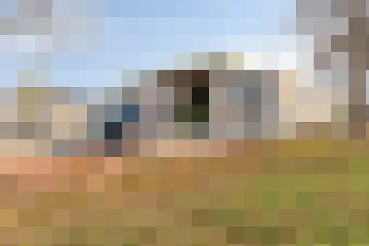 Bosveld 129 Uden thumbnail 35