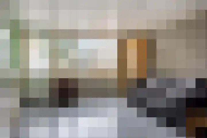 Bosveld 135 Uden thumbnail 10