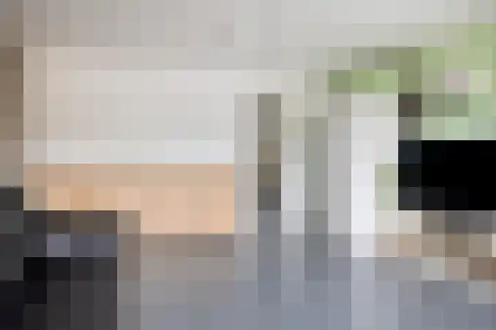 Bosveld 135 Uden thumbnail 11