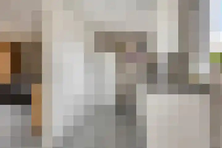 Bosveld 135 Uden thumbnail 12