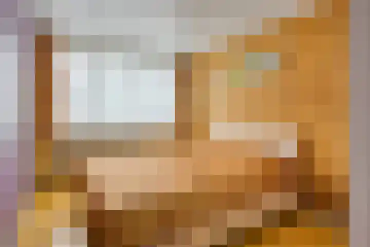 Bosveld 135 Uden thumbnail 14