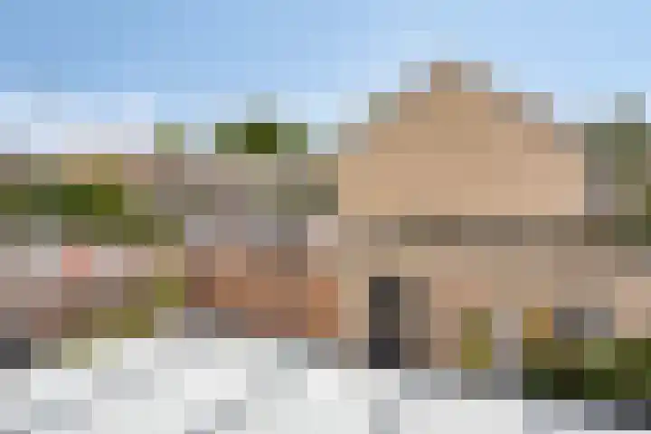 Bosveld 135 Uden thumbnail 16