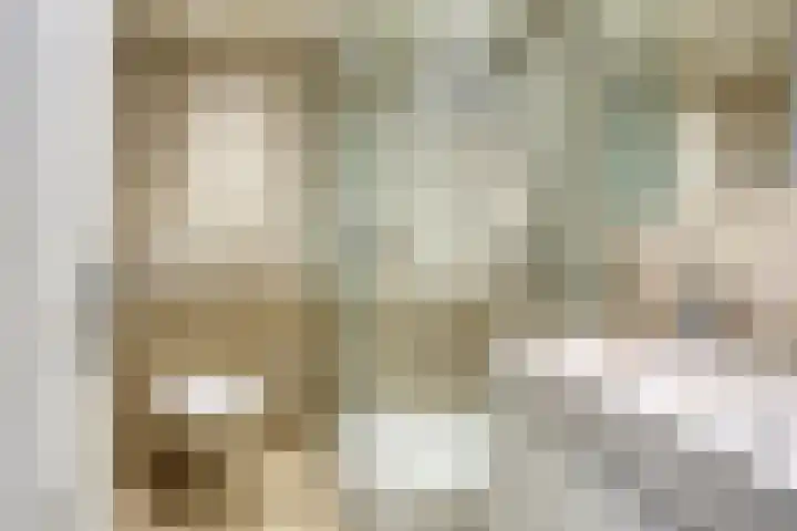 Bosveld 135 Uden thumbnail 17
