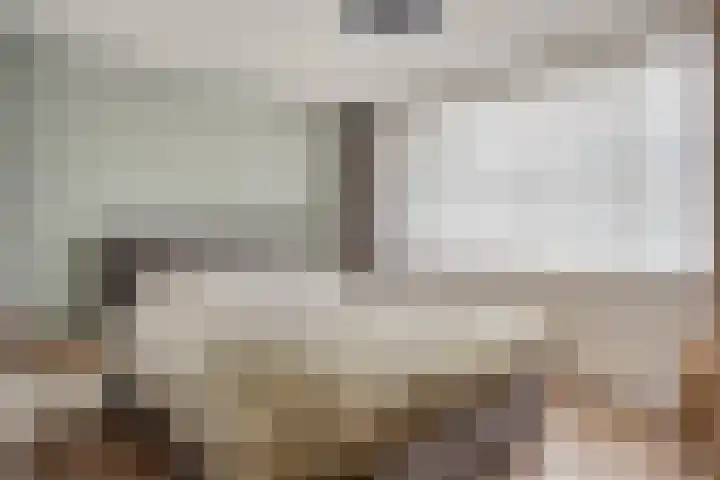 Bosveld 135 Uden thumbnail 19