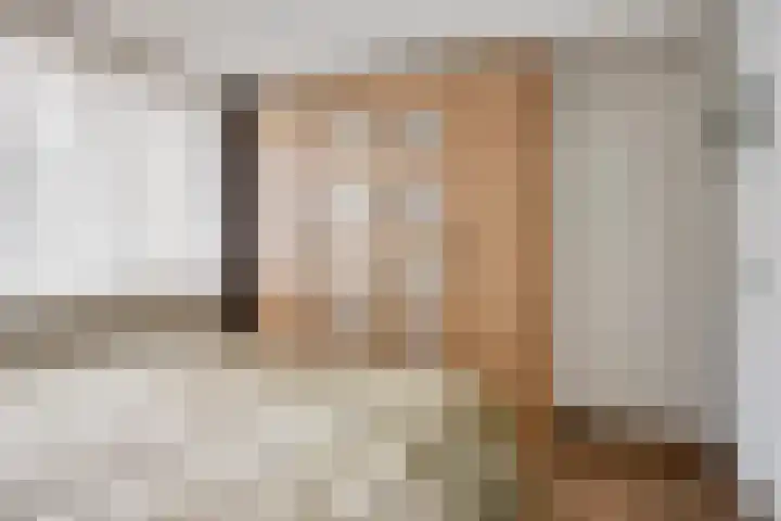 Bosveld 135 Uden thumbnail 20