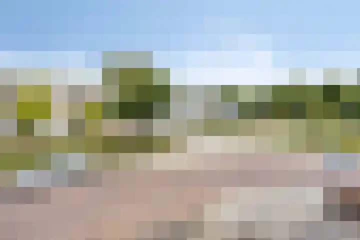 Bosveld 135 Uden thumbnail 21