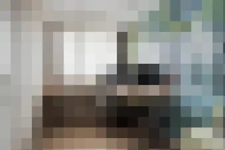 Bosveld 135 Uden thumbnail 23
