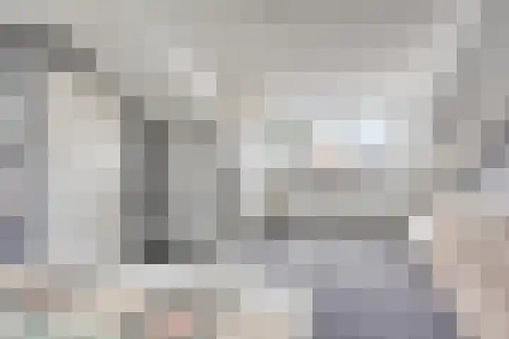 Bosveld 135 Uden thumbnail 26