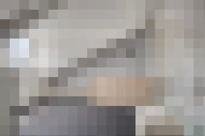 Bosveld 135 Uden thumbnail 27