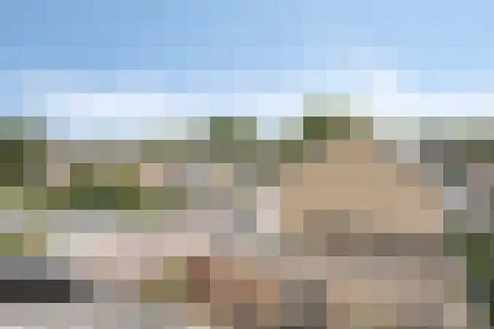 Bosveld 135 Uden thumbnail 28