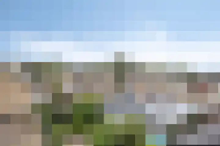Bosveld 135 Uden thumbnail 29