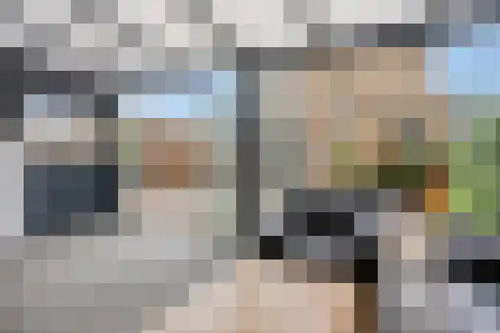 Bosveld 135 Uden thumbnail 31