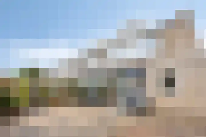 Bosveld 135 Uden thumbnail 33