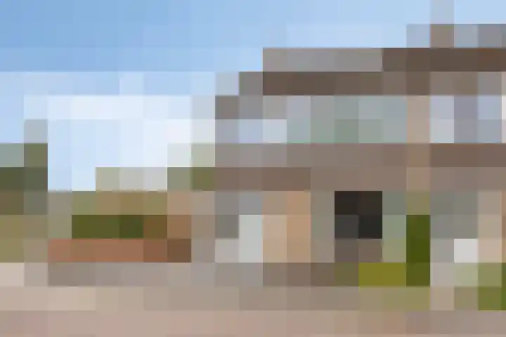 Bosveld 135 Uden thumbnail 36