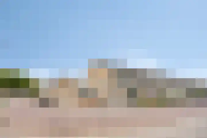 Bosveld 135 Uden thumbnail 38