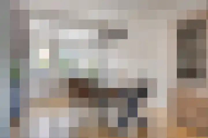Bosveld 135 Uden thumbnail 4