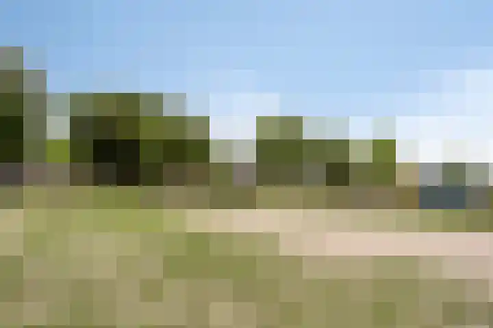 Bosveld 135 Uden thumbnail 40