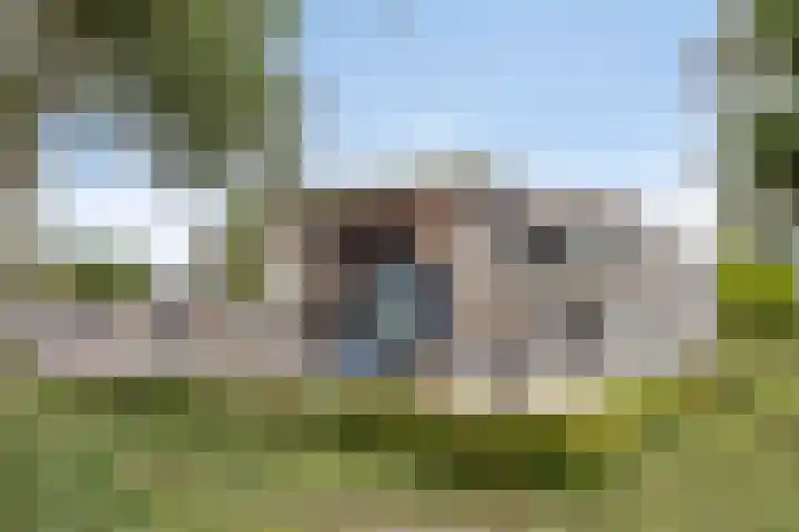 Bosveld 135 Uden thumbnail 41