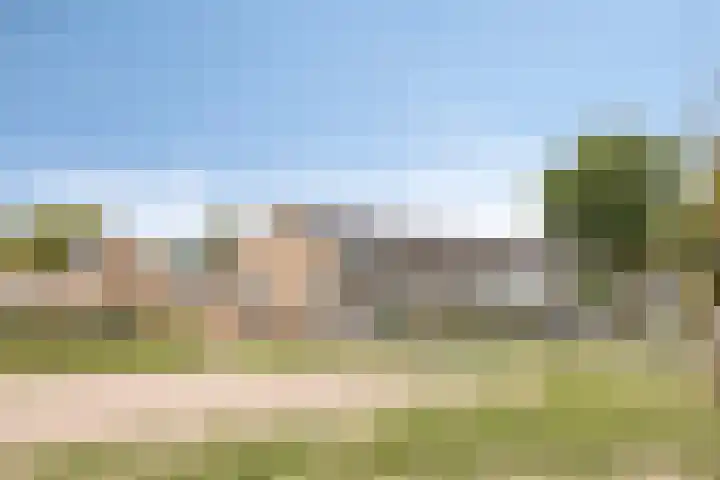 Bosveld 135 Uden thumbnail 42