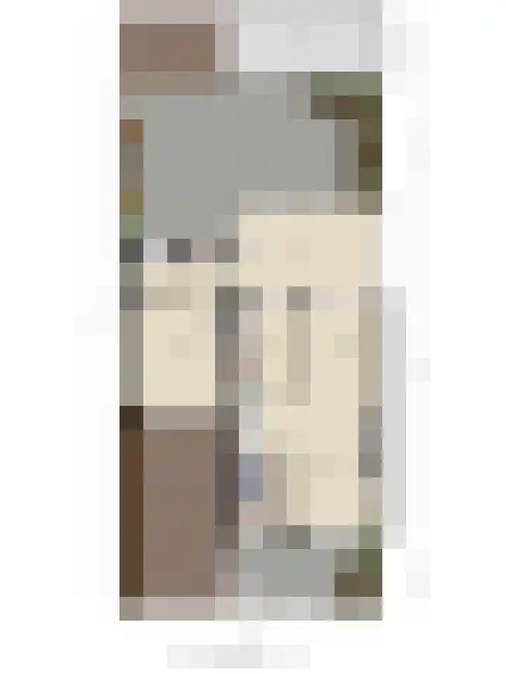 Bosveld 135 Uden thumbnail 44