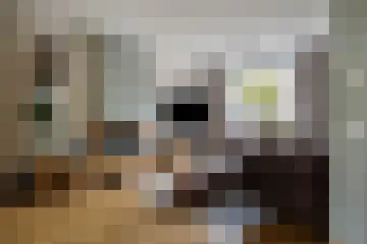 Bosveld 135 Uden thumbnail 6