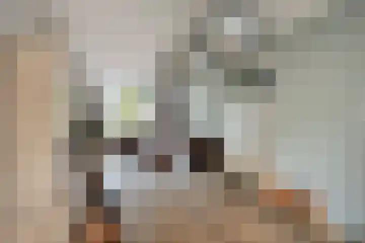 Bosveld 135 Uden thumbnail 7