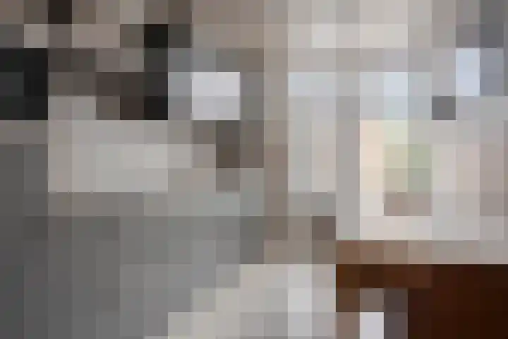 Bosveld 135 Uden thumbnail 8