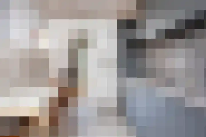 Bosveld 135 Uden thumbnail 9