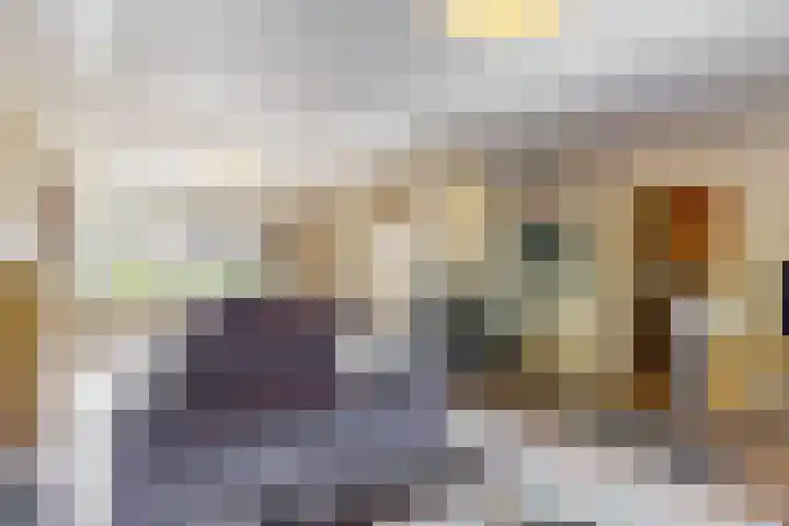 Bosveld 21 Beegden thumbnail 12