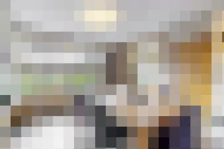 Bosveld 21 Beegden thumbnail 15