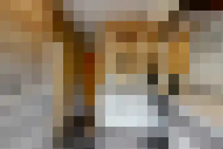 Bosveld 21 Beegden thumbnail 21