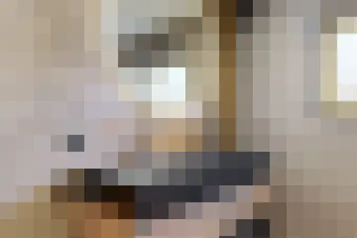 Bosveld 21 Beegden thumbnail 24