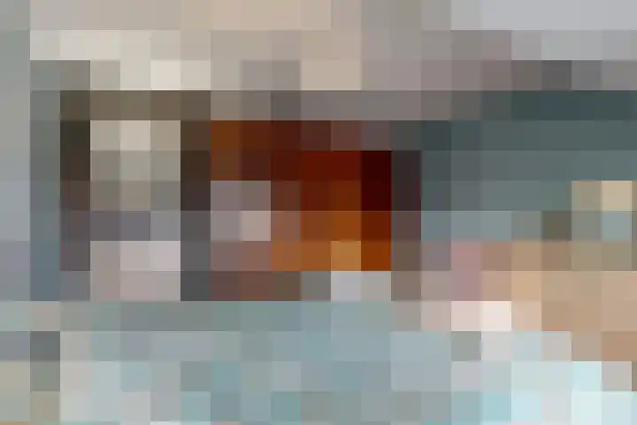 Bosveld 21 Beegden thumbnail 29