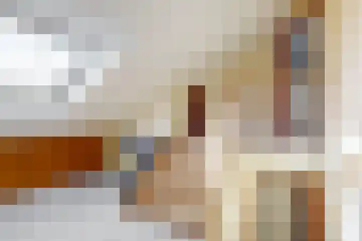 Bosveld 21 Beegden thumbnail 30