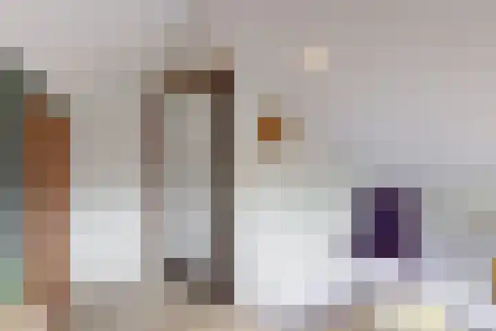 Bosveld 21 Beegden thumbnail 36