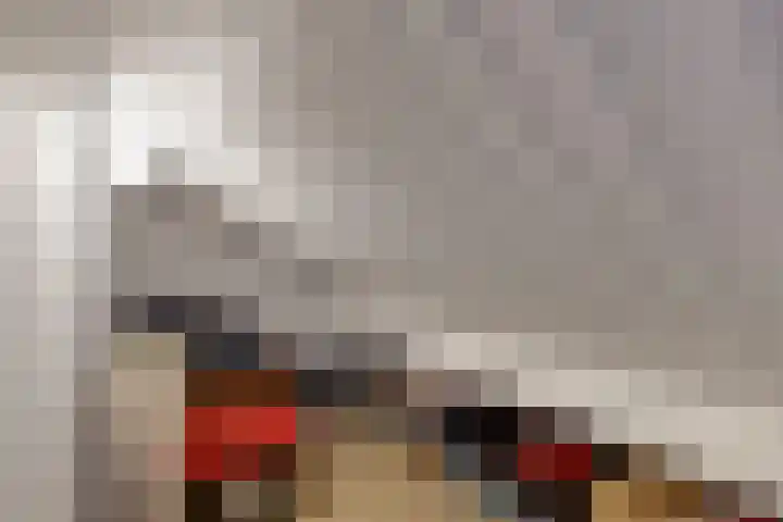 Bosveld 21 Beegden thumbnail 37